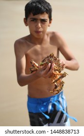 Banan Village, Morocco - 10 JUNE 2013: Teen Age Charismatic Boy Holding Big Crab At Beach