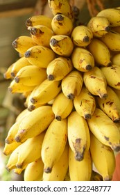 Banana Bunch In Market