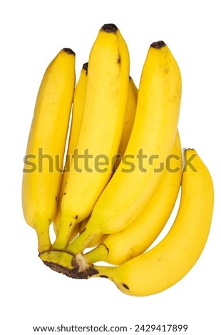 Banana bundle on a white background