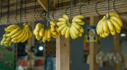 Banana Fruits Hanging In A Traditional Restaurant In Indonesia