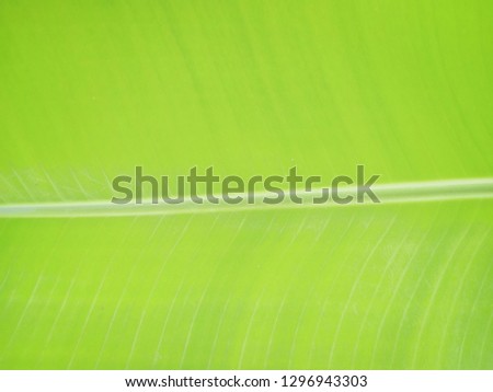 Similar – Image, Stock Photo it greenens so greenly