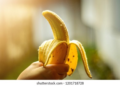 Banana in hand, sweet and delicious fruit,