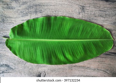 banana leaf on the table Wood
