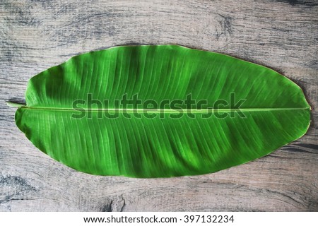 banana leaf on the table Wood