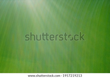 Similar – Image, Stock Photo wipe possible Blur Unclear