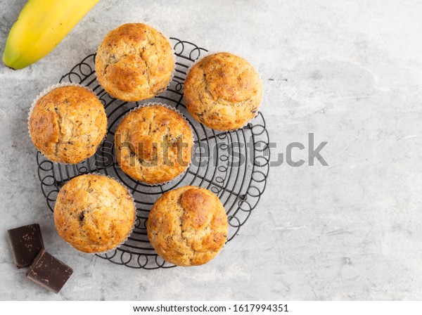 Banana muffins with\
chocolate chips on grey background. Top view. Breakfast and healthy\
snack.