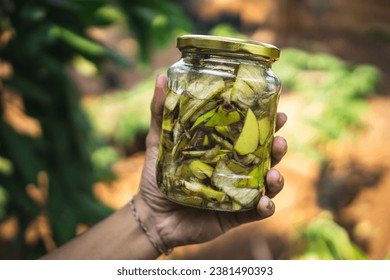 Banana peel fertilizer, cut of banana peel inside a jar, which will be used for organic fertilizer - Powered by Shutterstock