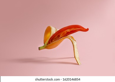 Banana and red pepper in a cut, concept of male sexual problems