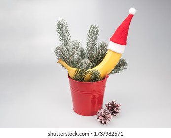 Banana In A Santa Hat For Christmas. Decorative Branches And Cones Christmas Tree.