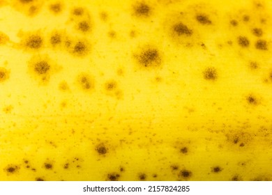 Banana skin close up. Background of ripe banana peel texture. Banana macro photo. Tropical fruit skin wallpaper - Powered by Shutterstock