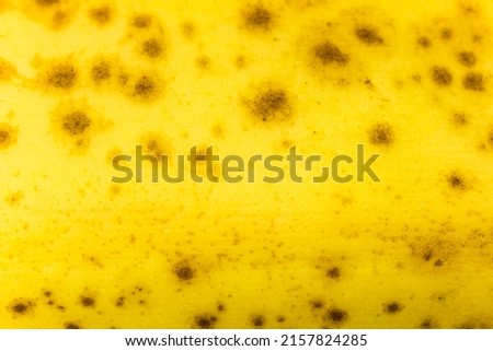 Banana skin close up. Background of ripe banana peel texture. Banana macro photo. Tropical fruit skin wallpaper