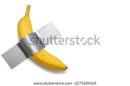A banana is taped to a white wall with gray tape. A conceptual look at contemporary art. Ripe banana glued to a white isolated background. Free space for text and ads