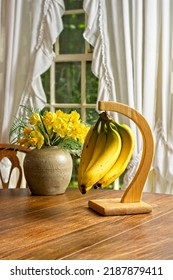 Banana tree set on sun drenched antique wooden kitchen table with yellow bananas set off by antique ginger jar full of cut yellow Narcissus jonquilla flowers - Shutterstock ID 2187879411