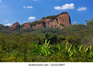 8,981 Mountain Bananas Images, Stock Photos & Vectors | Shutterstock