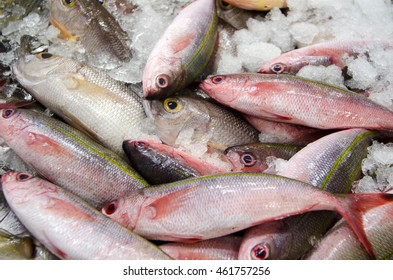 Bananafish High Res Stock Images Shutterstock