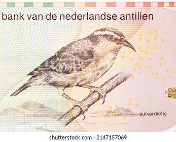 Bananaquit From Netherlands Antillean Money - Guilder