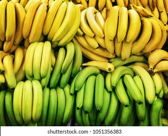 Bananas in boxes Green and ripe yellow bananas are lying in rows on the market Top view photo pattern