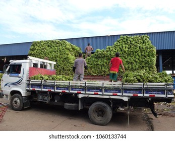 Food Truck Brazil Images Stock Photos Vectors Shutterstock