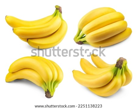 Bananas isolated set. Bunch of ripe bananas on white background collection. Fresh fruits.