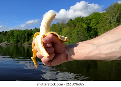 Bananas Makes You Strong. Banana Held By Hand. Lake And Swedish Nature In The Background. Closeup, Pumped With Strong Grip. Stockholm, Sweden.