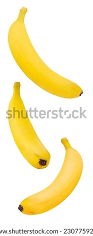 Bananas yellow, falling, hanging, flying, soaring, isolated on white background 
