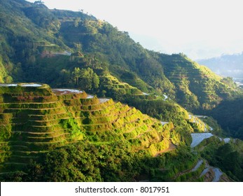 Banaue Rice Terraces 2