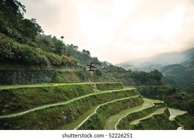 Banaue Rice Terraces