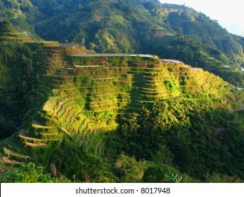 Banaue Rice Terraces