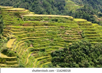 Banaue Rice Terraces Philippine Cordilleras Stock Photo 116248318 ...