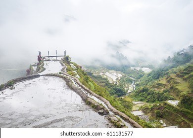 Banaue Rice Terraces, The Philippines