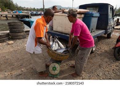 Banda Aceh, Indonesia - 01 Aug 2019: Two Fishermen Place A Basket Full Of Freshly Caught Tuna And Other Fish On A Scale To Weigh Them And Sell Them To A Local Trader