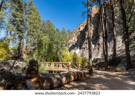Bandelier National Monument, New Mexico. Trail along Frijoles Creek (El Rito de los Frijoles)  through Frijoles Canyon with golden Cottonwood trees in the autumn. Log bridge over creek. 