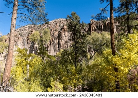 Bandelier National Monument, New Mexico. Frijoles Canyon with golden Cottonwood trees in the autumn. Site of former Lodge of the Ten Elders, a lodge predating the National Park Service administration.