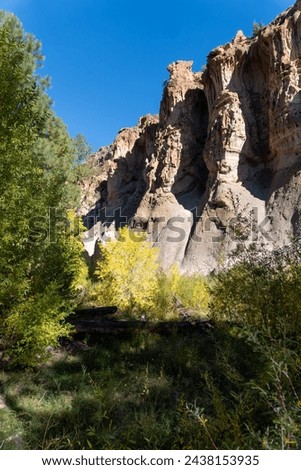 Bandelier National Monument in New Mexico. Hot ash from volcano at Valles Caldera cooled and welded into a rock called tuff. Pajarito Plateau and Frijoles Canyon show Volcanic Geology. Cottonwood tree Stock photo © 