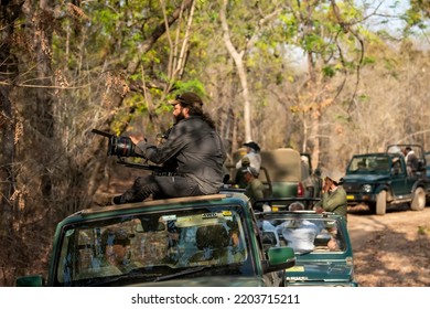 Bandhavgarh, Madhya Pradesh,  India - 25 April 2022 : Wildlife Cinematographer Or Photographer Above On Safari Vehicle Filming Or Shooting Wild Tiger And Her Cubs Or Panthera Tigris In National Park