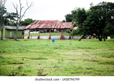 Bandipur National Park In India