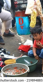 Bandung, 5 Sept 2022. A Boy Watching Fish Vendor On The Street In Pasteur Bandung Sunday Market