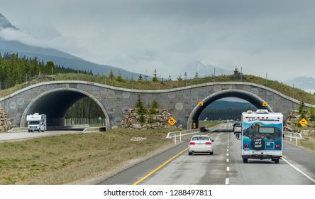 Banff, Alberta / Canada - 06/19/2015 Animal Bridge Near Banff, Canada