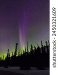 Banff, Canadian Rockies, Northern Lights, Aurora Borealis, Milky Way, starry sky, celestial display, night photography, astrophotography, natural wonder, breathtaking, majestic, aurora, cosmic