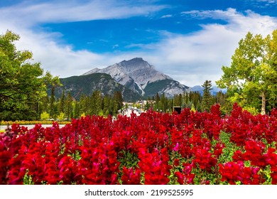 Banff Town In Banff National Park, Canada