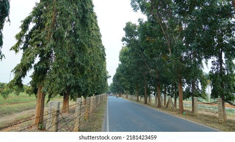 Bangalore, Karnataka, India - January 26 2022 : Beautiful Natural Scenery Near Hesaraghatta Bangalore. 