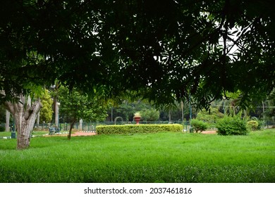 Bangalore Lalbagh Botanical Garden. Very Beautiful Place .