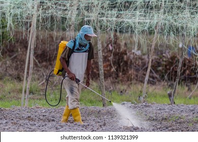 BANGI, MALAYSIA - JUNE 20, 2018. A Foreign Male Worker From Indonesia Is Poisoning Weeds On A Vegetable Farm In Bangi, Selangor.