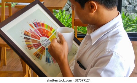 Bangkok - Aug 5, 2016 - A Man Testing(cupping) With Coffee Flavor Wheel