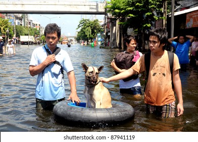 BANGKOK - NOV 2: Citizens rescue a dog from the flood of November 2, 2011 in Bangkok, Thailand.