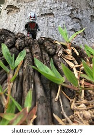 Bangkok, Thailand: 26 Jan 2017 - Lego Antman walking in the garden. This mini figure is from Superhero sets. Lego is a brick brand by Lego group.