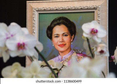 Bangkok, Thailand - April 10, 2018: Thai Queen Painting Orchid Flower Foreground