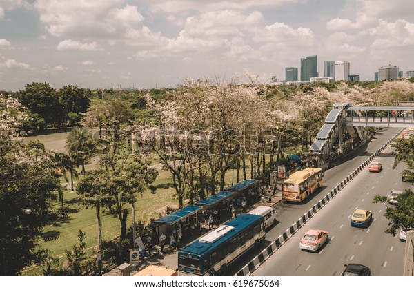 BANGKOK, THAILAND - APRIL 10: Landscape view of\
Paholyothin road near BTS Mo Chit on April 8, 2017 in Bangkok,\
Thailand. With full of Pink Trumpet Flower growing along the way\
with bus and taxi