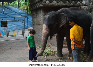 Bangkok, Thailand - Circa 2019. Small Boy Interacts With Small Elephant Under Guidance Of Zoo Keeper