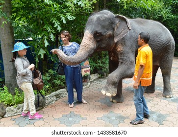 Bangkok, Thailand - Circa 2019. Tourists - Woman And Girl Play With Small Elephant Near Zoo Keeper